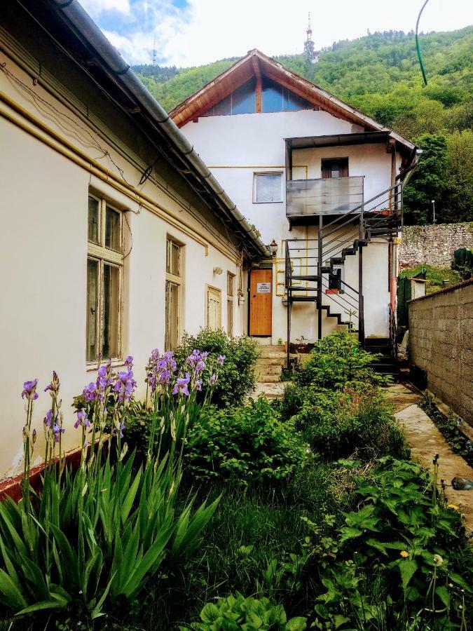 Downtown Hostel Brașov Exterior foto